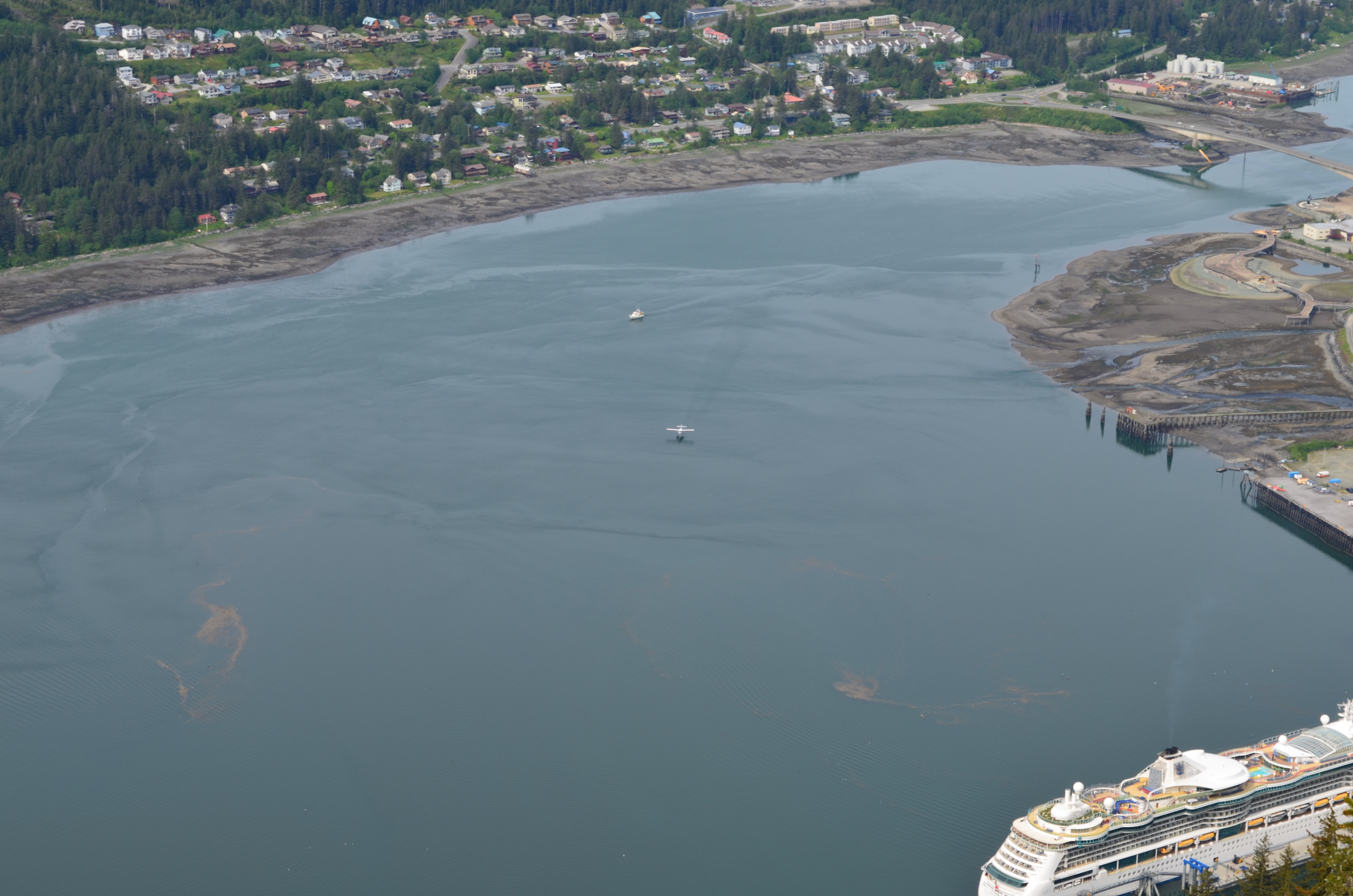 ./2017/08 - Alaska Cruise/08 - Juneau/DSC_0914.JPG